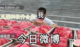 爆料视频合集,热点事件背后的真相与争议