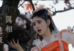 曾舜晞爆料最新动态视频,揭秘幕后故事与精彩瞬间