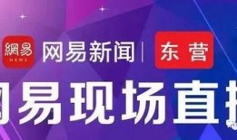 深圳网易新闻爆料,详情即将揭晓