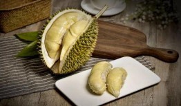 榴莲加工爆料视频,从果肉到美味佳肴的华丽蜕变