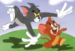 猫和老鼠霜月爆料视频,精彩剧情抢先看，经典对决即将上演