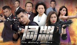 同盟16集在线观看,揭秘暗流涌动的阴谋与背叛