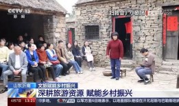 重庆农村老王爆料视频大全,揭秘乡村生活点滴