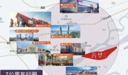 绿军粉丝爆料事件视频,揭秘事件背后真相