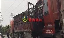 青岛大货车爆料事件视频,真相与争议交织的视觉冲击