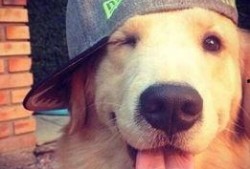 向死而生二狗最新爆料视频,揭秘背后惊人真相