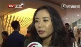 张恒爆料黄晓明视频,视频曝光惊人内幕