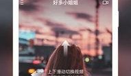 免费吃瓜app安卓,安卓用户畅享海量娱乐资讯的全新平台