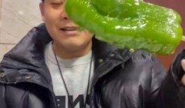 网红吃瓜胖子视频