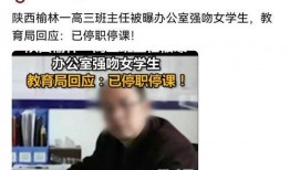 南阳高三爆料事件视频,揭秘校园内幕引发社会关注