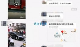 霖磐今日爆料,揭秘娱乐圈最新热点事件