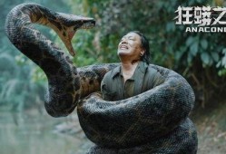 狂蟒之灾免费在线观看,惊心动魄的巨蟒逃亡大作战