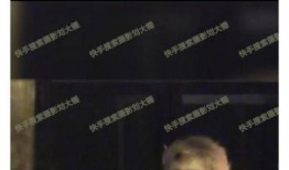 刘大锤明日爆料视频全集,视频全集深度解析