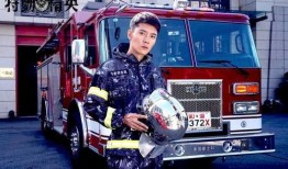 特勤在线观看,揭秘神秘特勤精英的惊险任务与英勇事迹