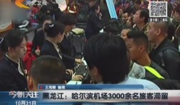 哈尔滨一小时爆料事件视频,揭秘惊人真相