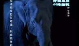 母性本能全集在线观看,揭秘母爱力量与育儿智慧