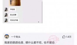 深圳网友钟女士爆料新闻,揭秘某事件背后惊人真相