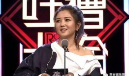 苏醒爆料何洁李宇春视频,揭秘娱乐圈幕后真相
