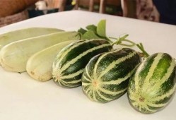 网红瓜免费吃,美食狂欢等你来！