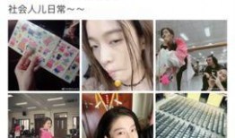 猪猪爆料娱乐圈小说,娱乐圈幕后风云录