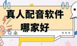 爆料视频适合用的配音,独家配音解析