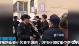 南阳高三爆料事件视频,揭秘校园内幕引发社会关注