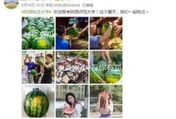 高校吃瓜免费资源,免费资源大揭秘，学子福利一网打尽