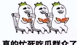 吃瓜看戏免费全集,揭秘娱乐圈背后的风云变幻