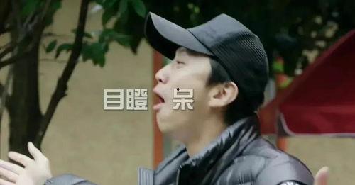 娱乐吃瓜君顶流,顶流明星背后的故事与真相