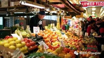 娱乐吃瓜酱超市,揭秘娱乐圈幕后故事，带你畅游八卦海洋